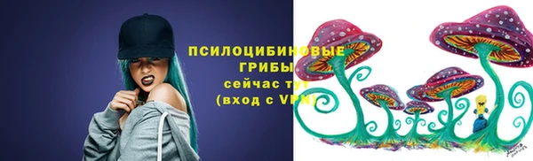 СК Алексин