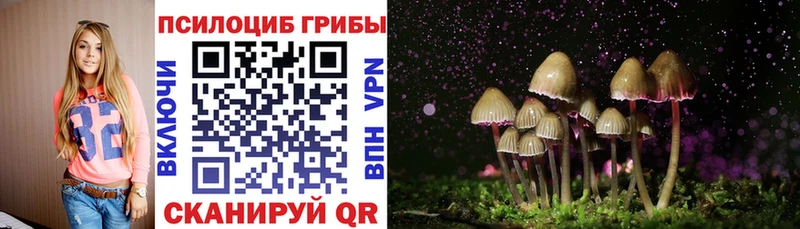 Галлюциногенные грибы Magic Shrooms  Осташков 
